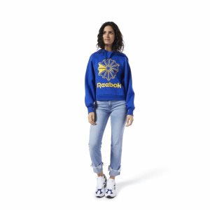 Bluza Z Kapturem Damskie Reebok Classic Big Logo Fleece Niebieskie PL 47ELBVH